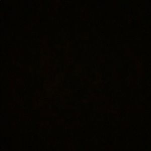 Meet your Posher, Beau